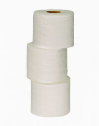 PAPEL-HIGIENICO-DOMESTICO