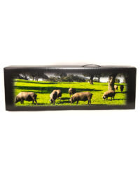 PORTADA-CAJA-LOTE-IMAGEN-DEHESA-1