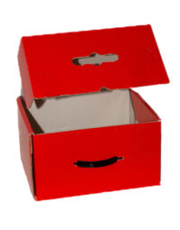 CAJA-SURTIDO-ASA-PLÁSTICO